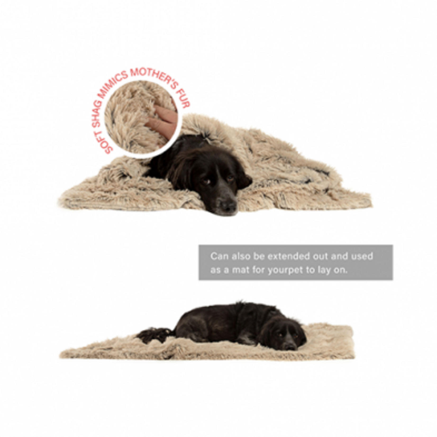 Best Friends by Sheri Throw Blanket in Shag Taupe (40" x 50")