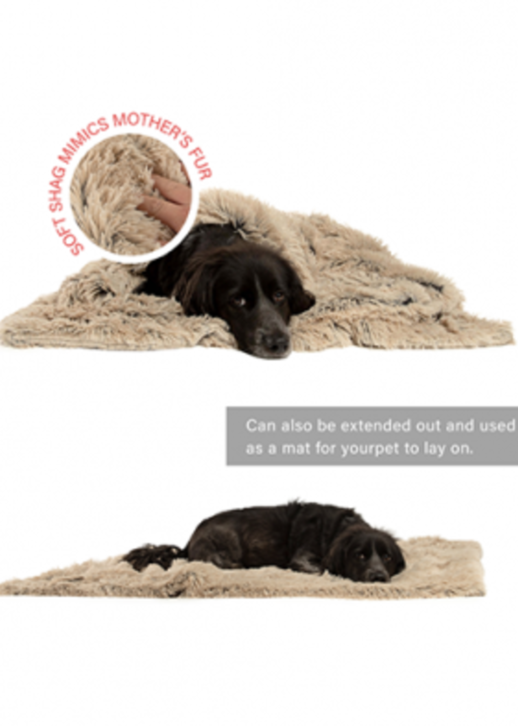 Best Friends by Sheri Throw Blanket in Shag Taupe (40" x 50")