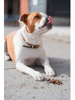 Récolte du terroir (Poulet patate douce et pommes) nourriture pour chien