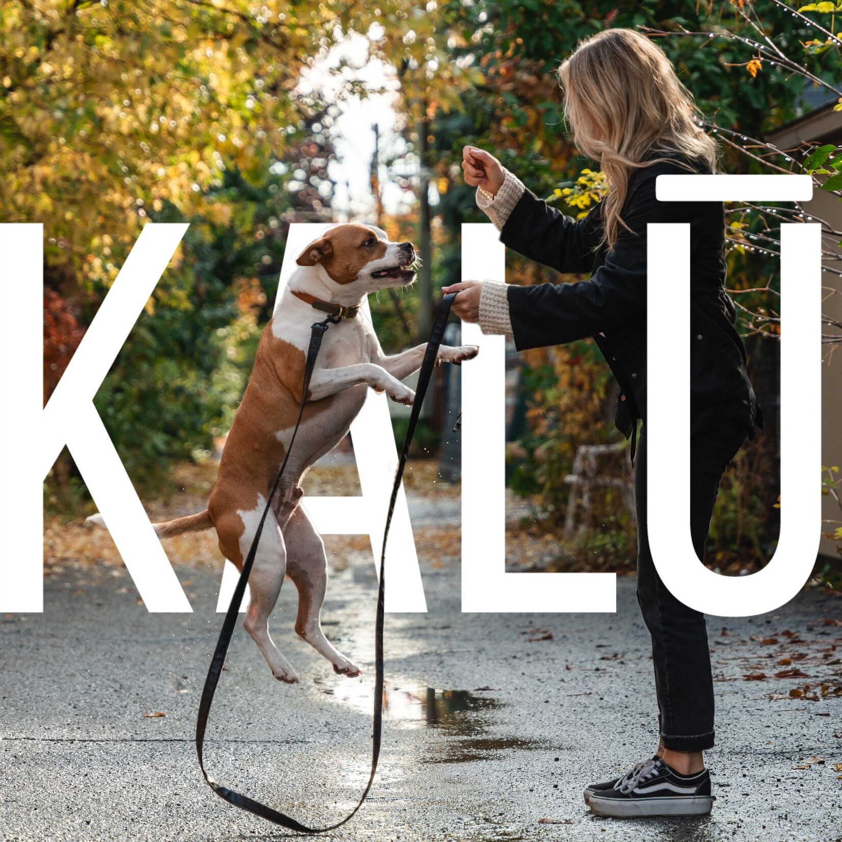 KALU Atlantic (Fish and Lobster) dog food