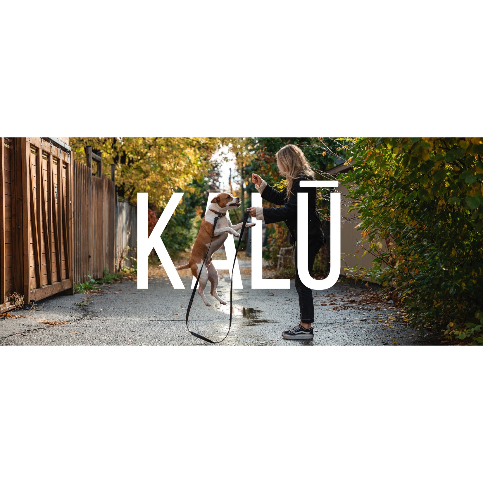 KALU Atlantic (Fish and Lobster) dog food