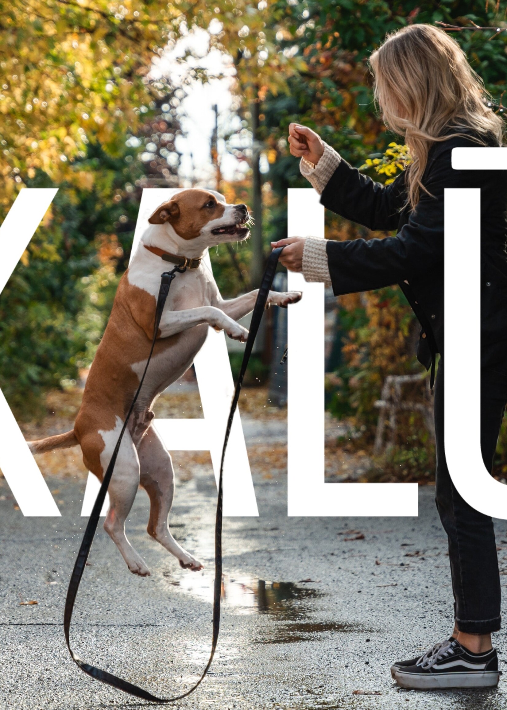 KALU Atlantic (Fish and Lobster) dog food