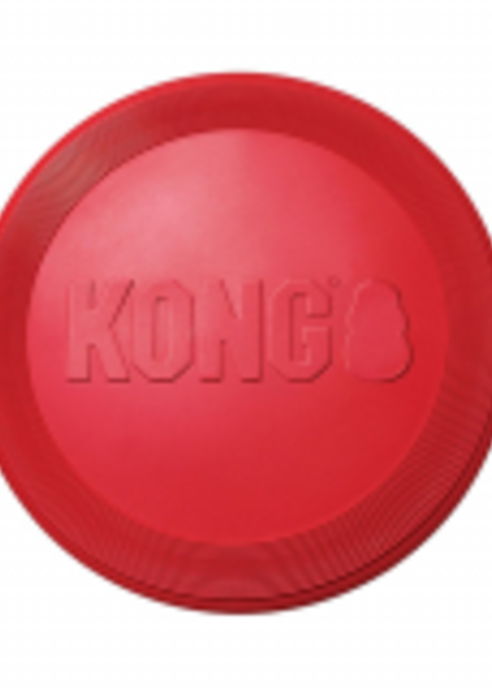 kong Flyer for dog