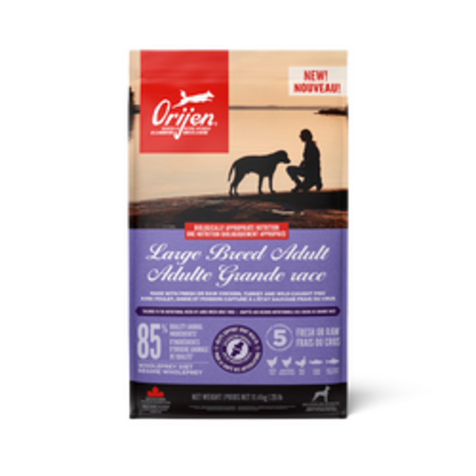 ORIJEN Large Breed Adult Recipe Dry Dog Food