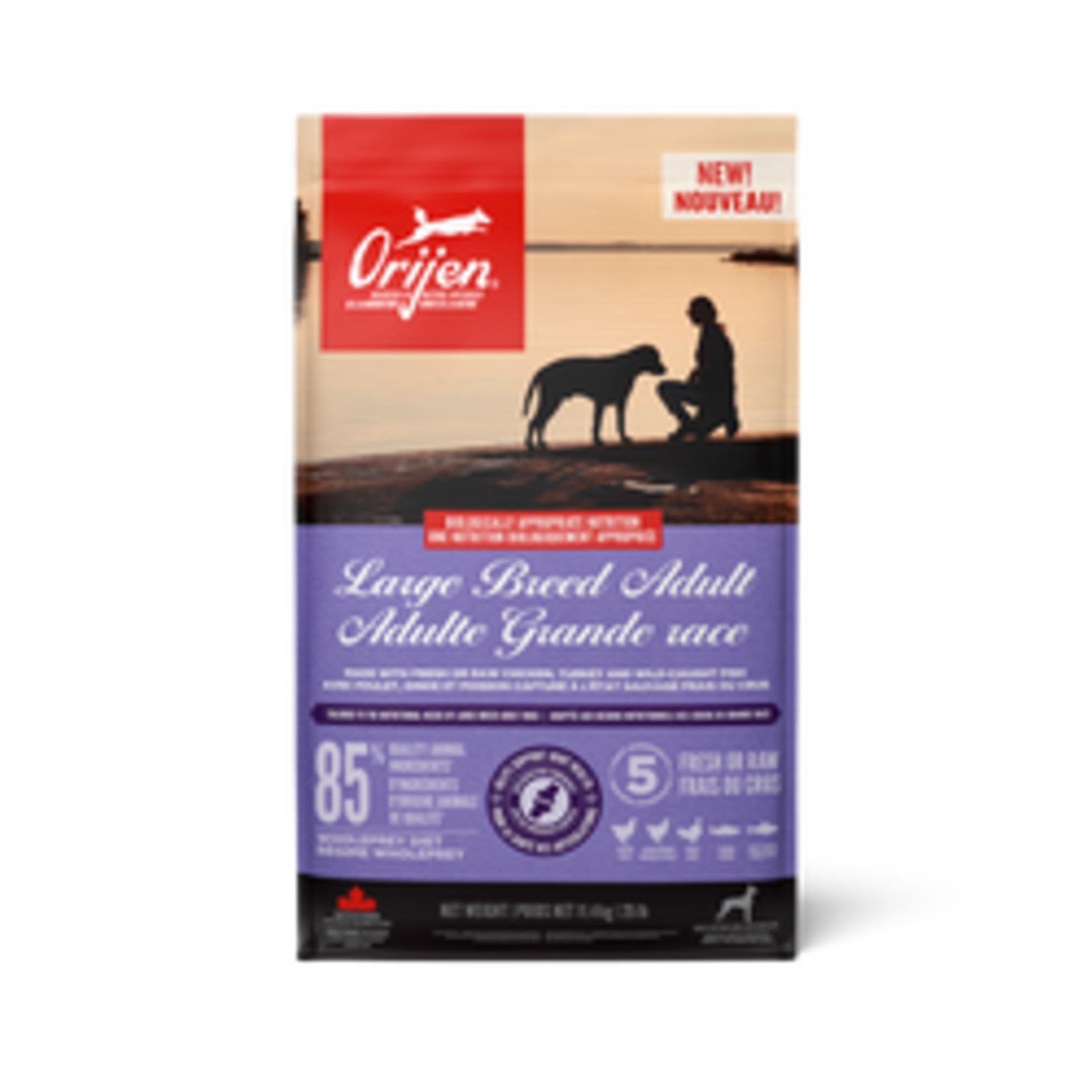 ORIJEN CHIEN ADULTE GRANDE RACE Croquettes Pour Chiens