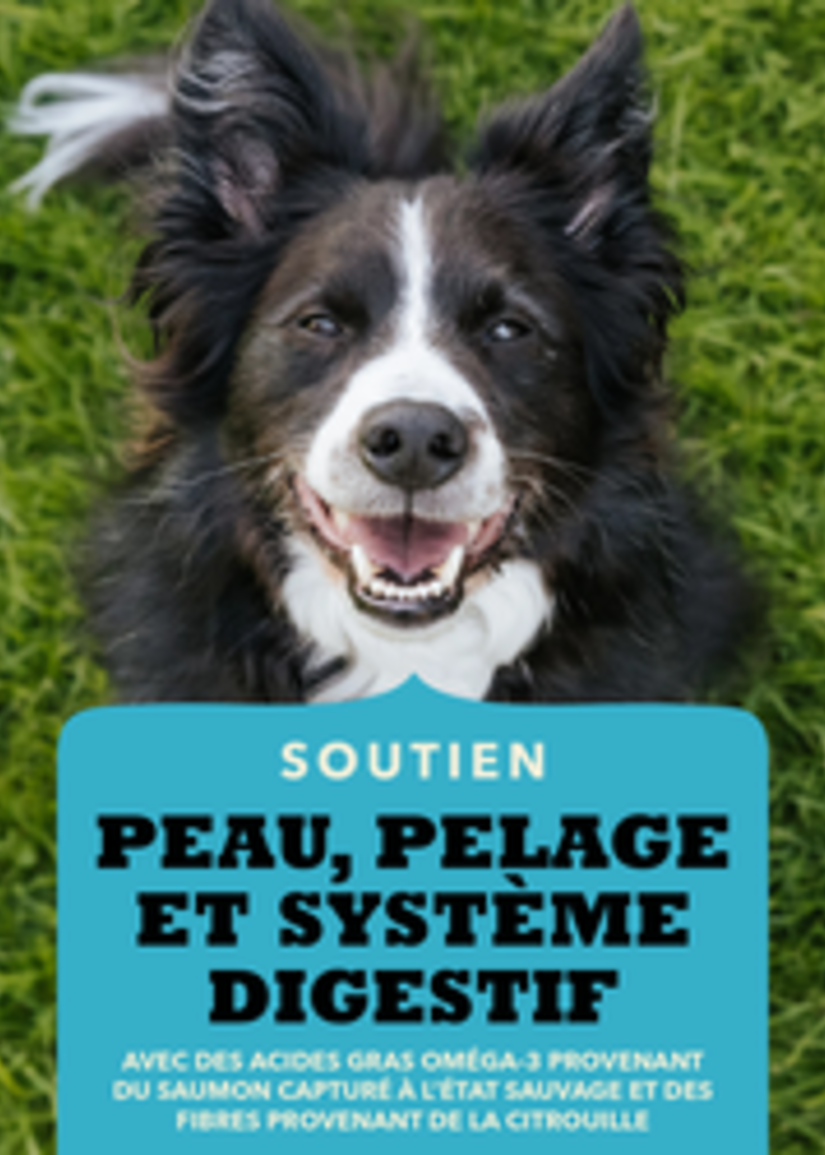 ACANA Friandises croquantes recette au saumon pour chien