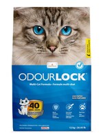 INTERSAND Unscented Clumping Litter 12 kg
