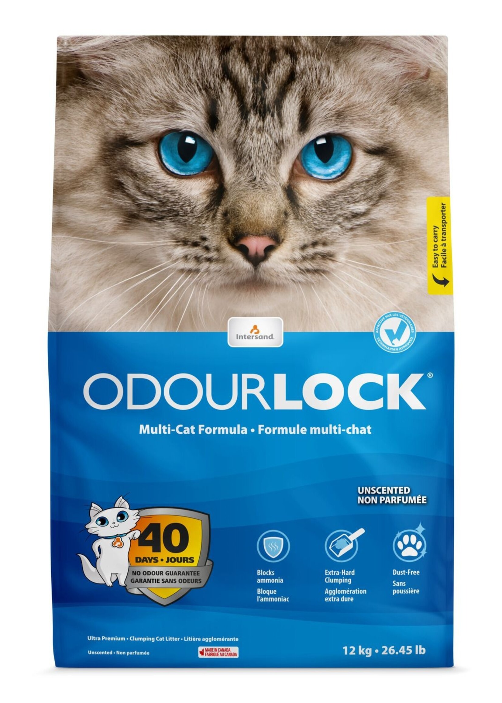 INTERSAND Unscented Clumping Litter 12 kg