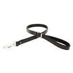 Leather leash
