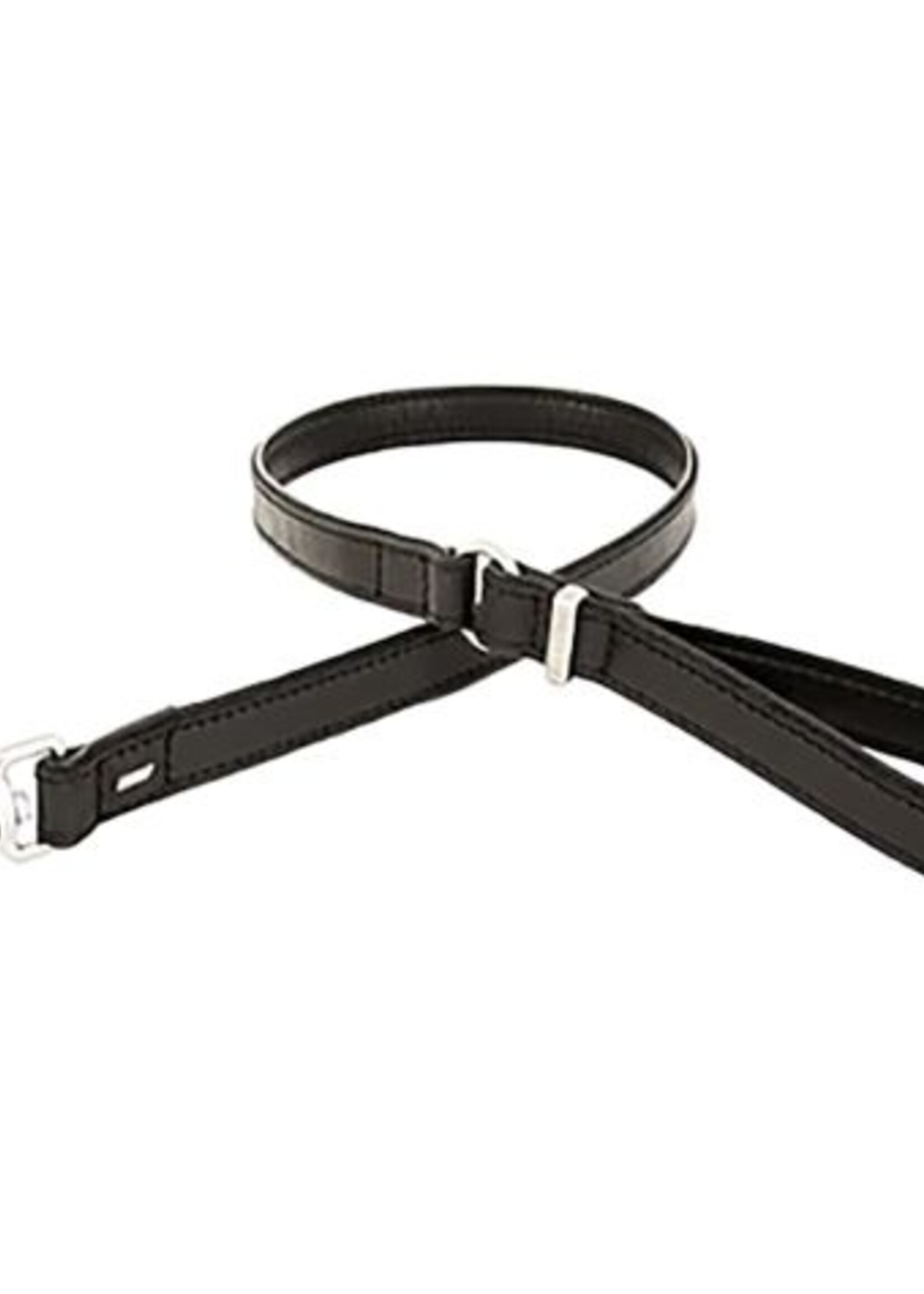 Leather leash