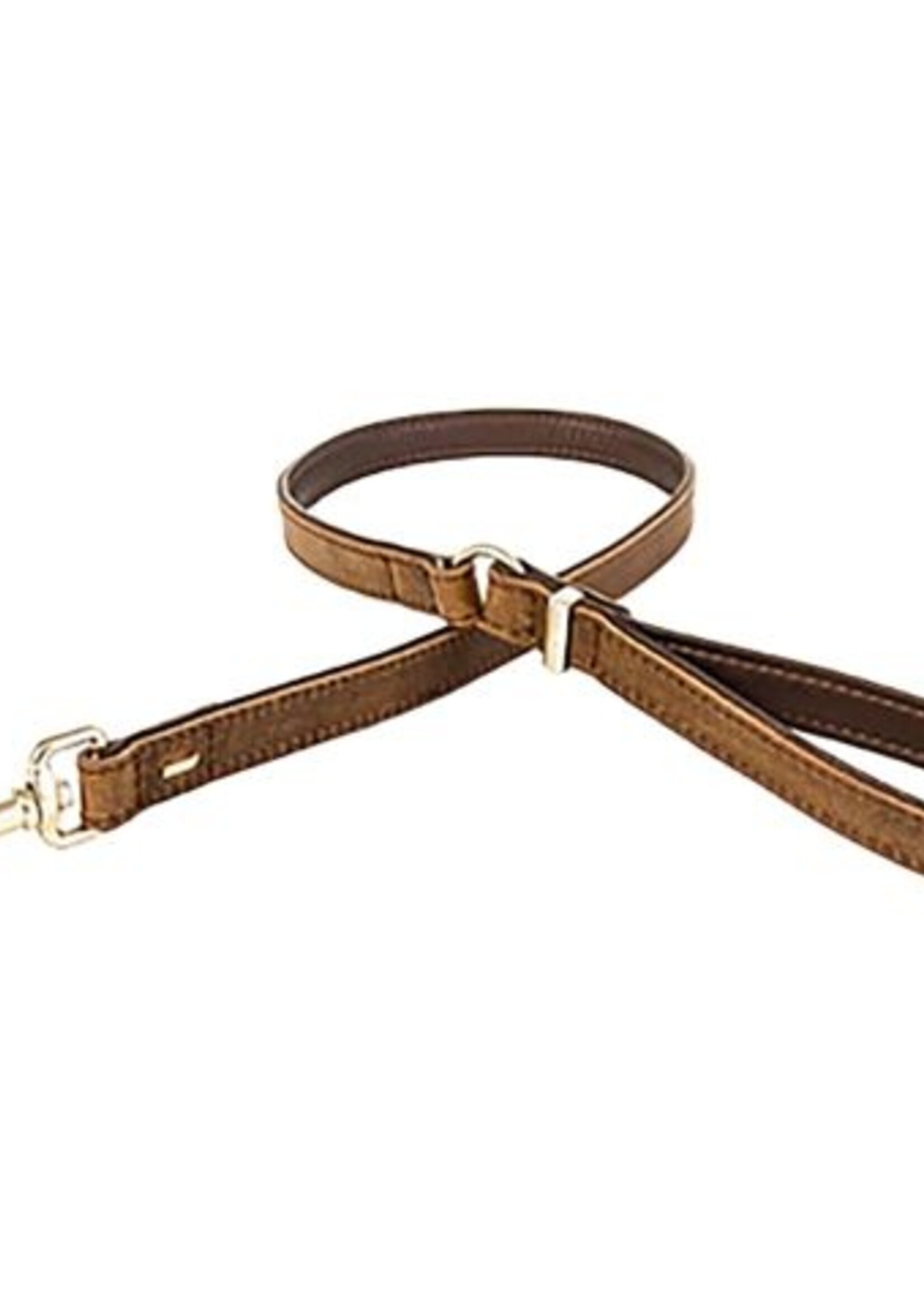 Leather leash