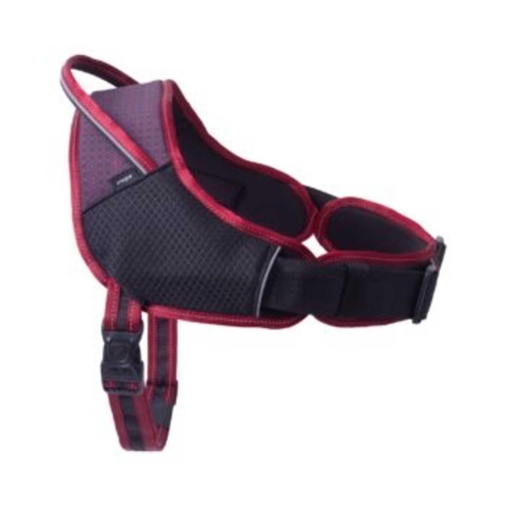 Harnais pour les chiens sportifs