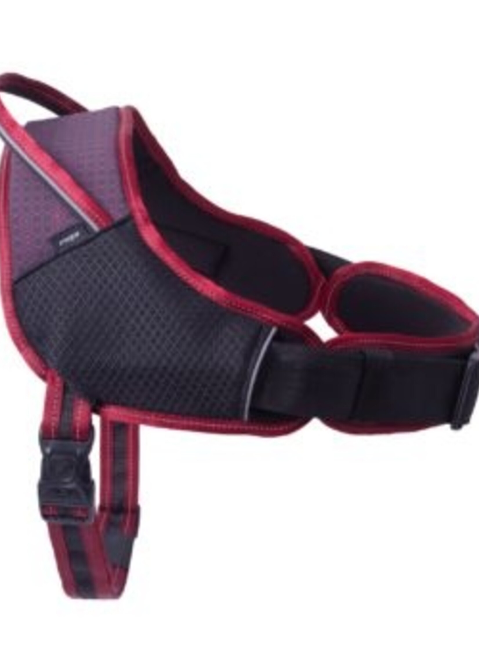 Harnais pour les chiens sportifs