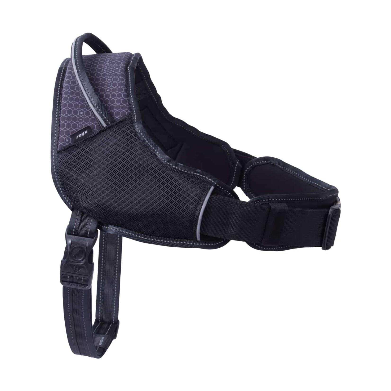 Harnais pour les chiens sportifs