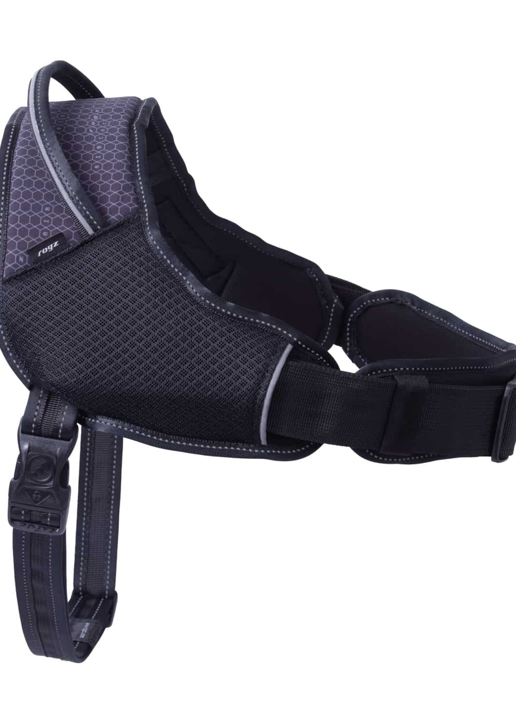 Harnais pour les chiens sportifs