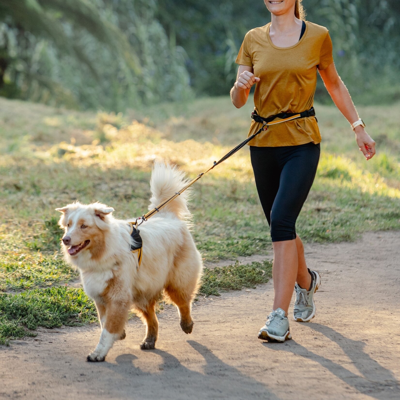 AirTech Sport Belt and Lead