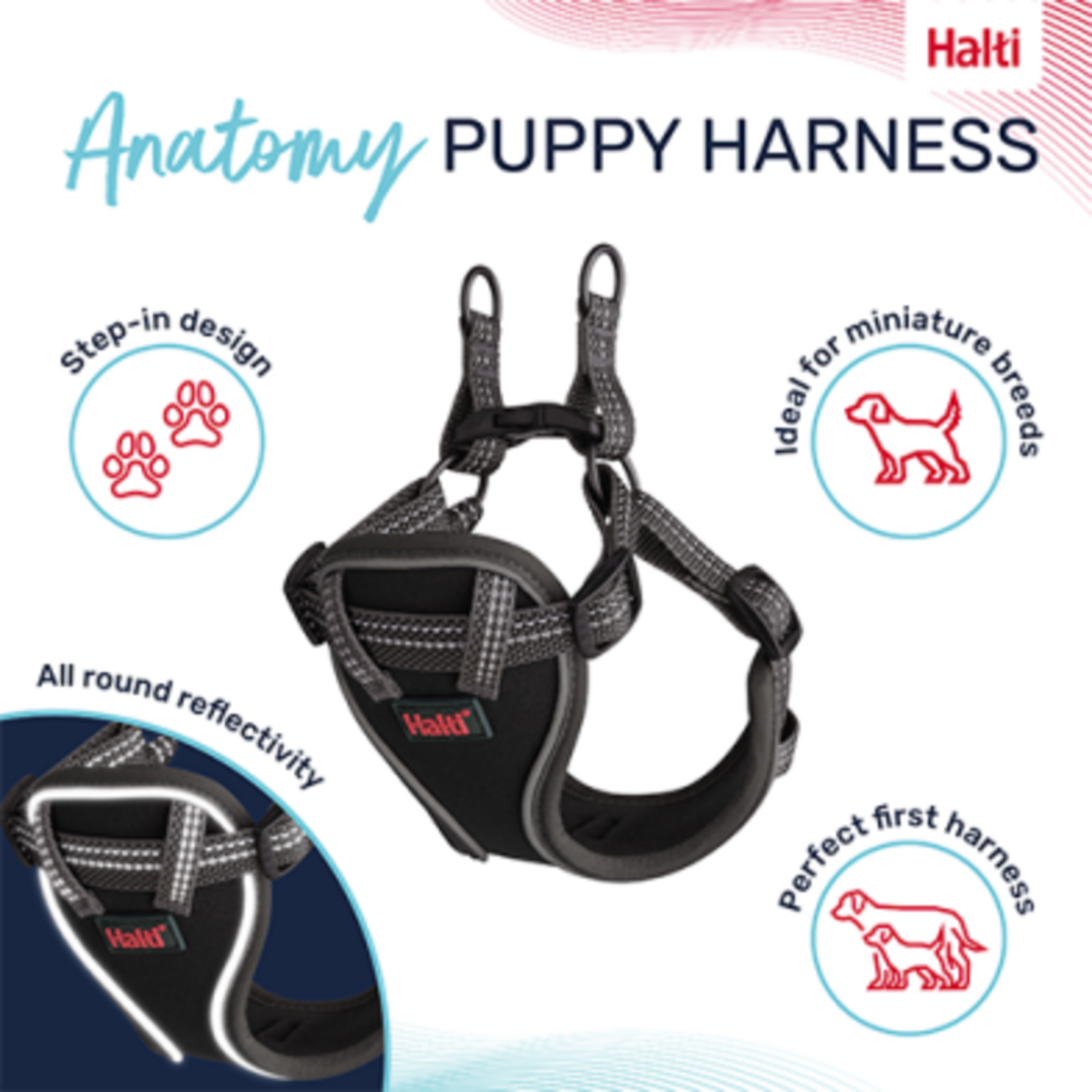 Anatomy Puppy Harness