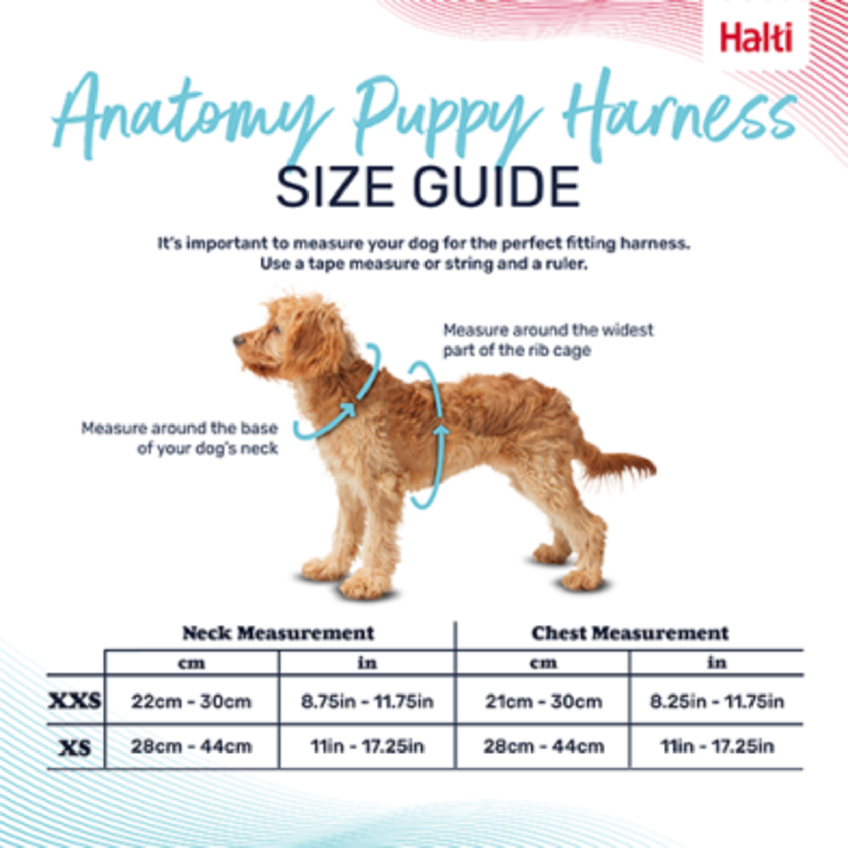 Harnais Anatomie pour chiot