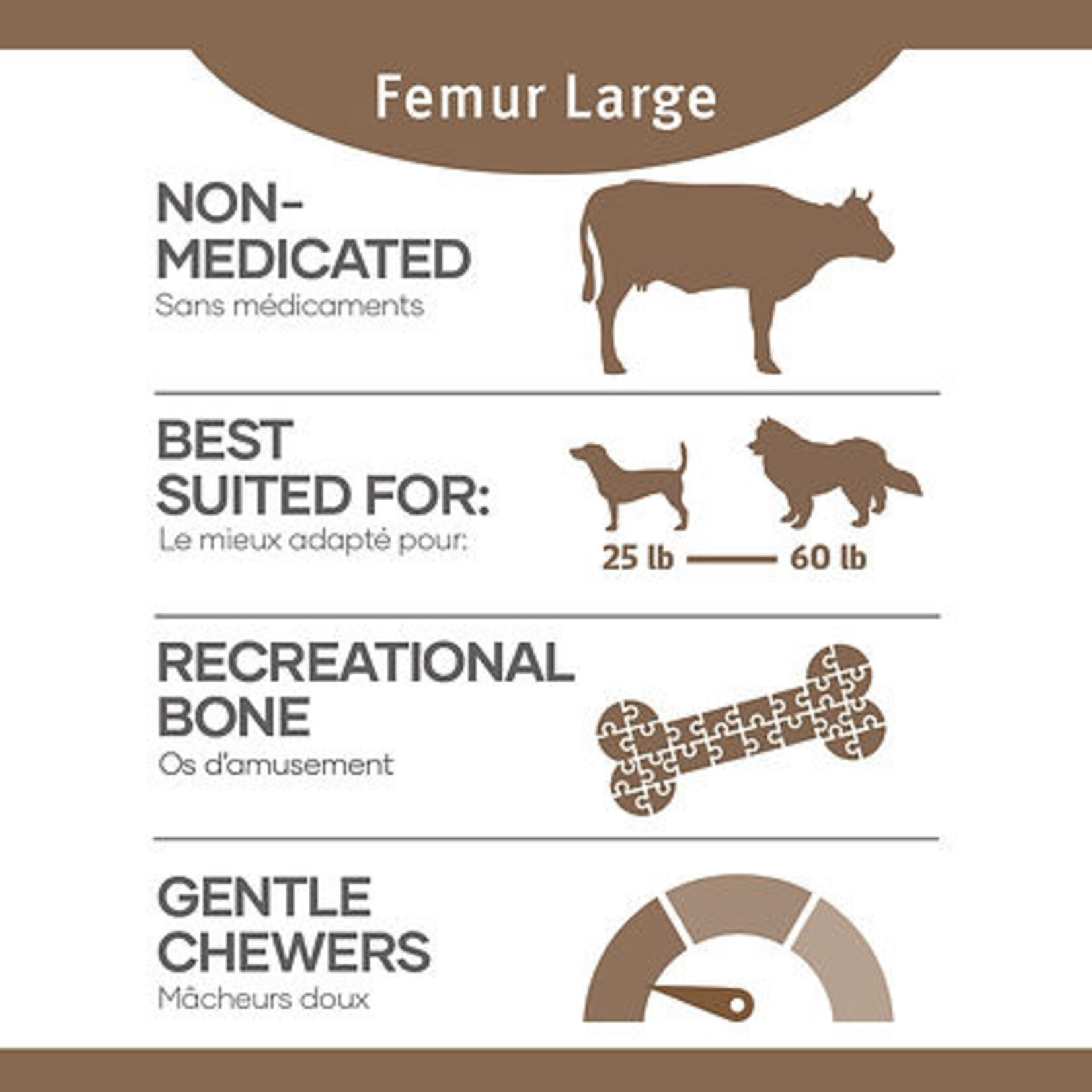 Beef Bone - Large Femur