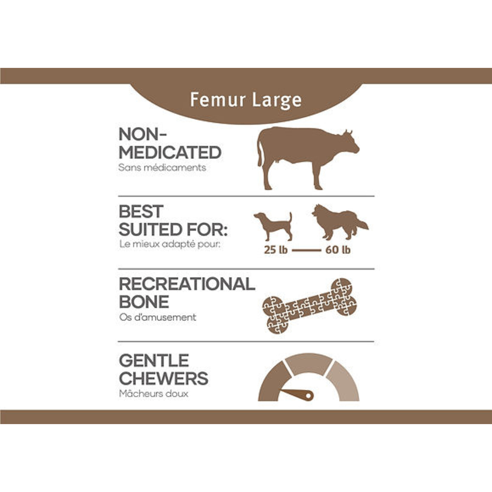Beef Bone - Large Femur