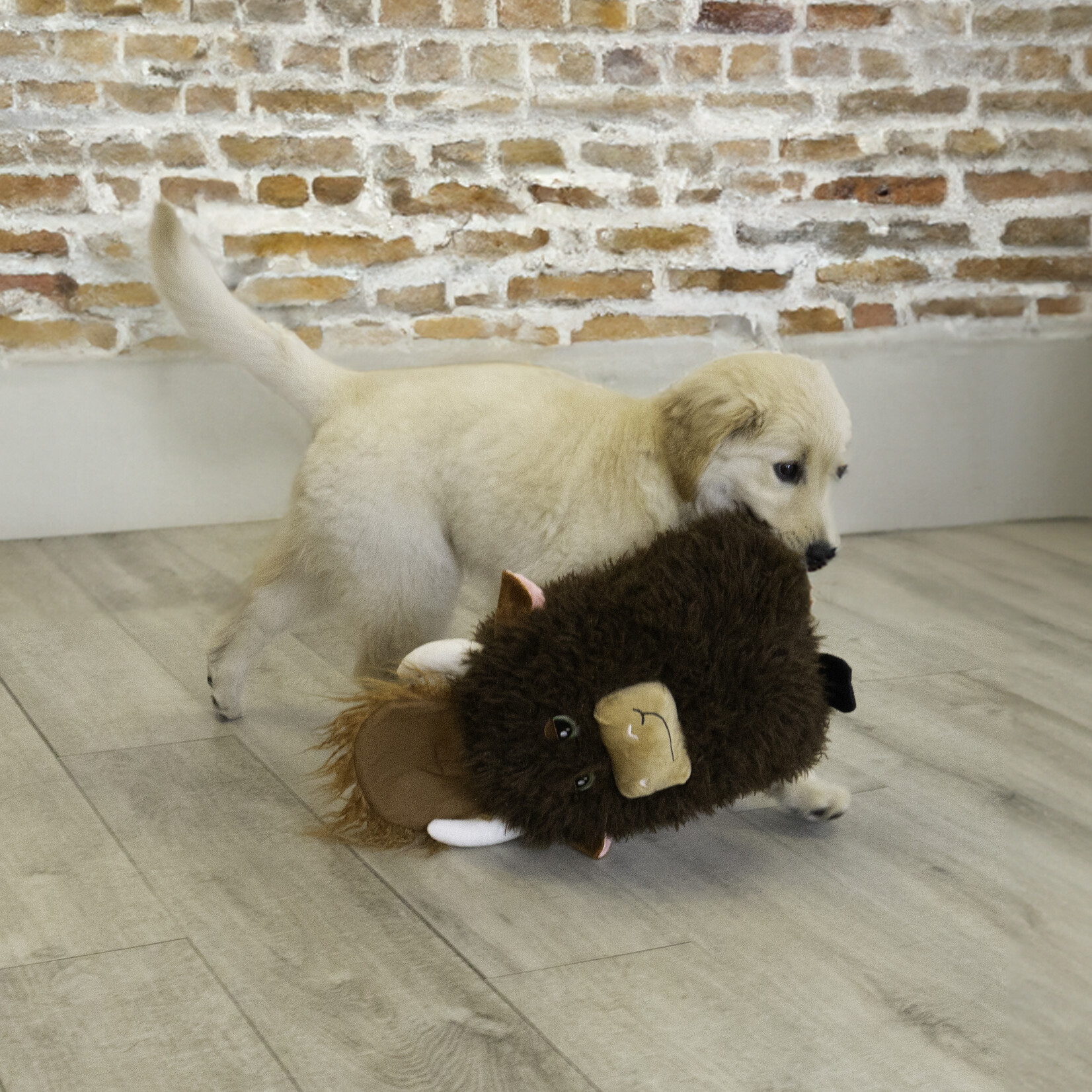 kong Comfort Jumbo Highland Cow Assorted