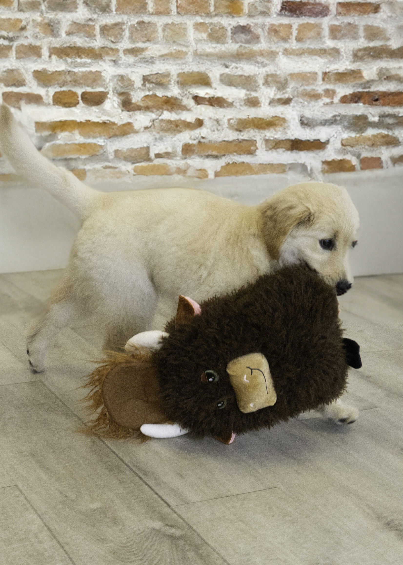 kong Comfort Jumbo Highland Cow Assorted