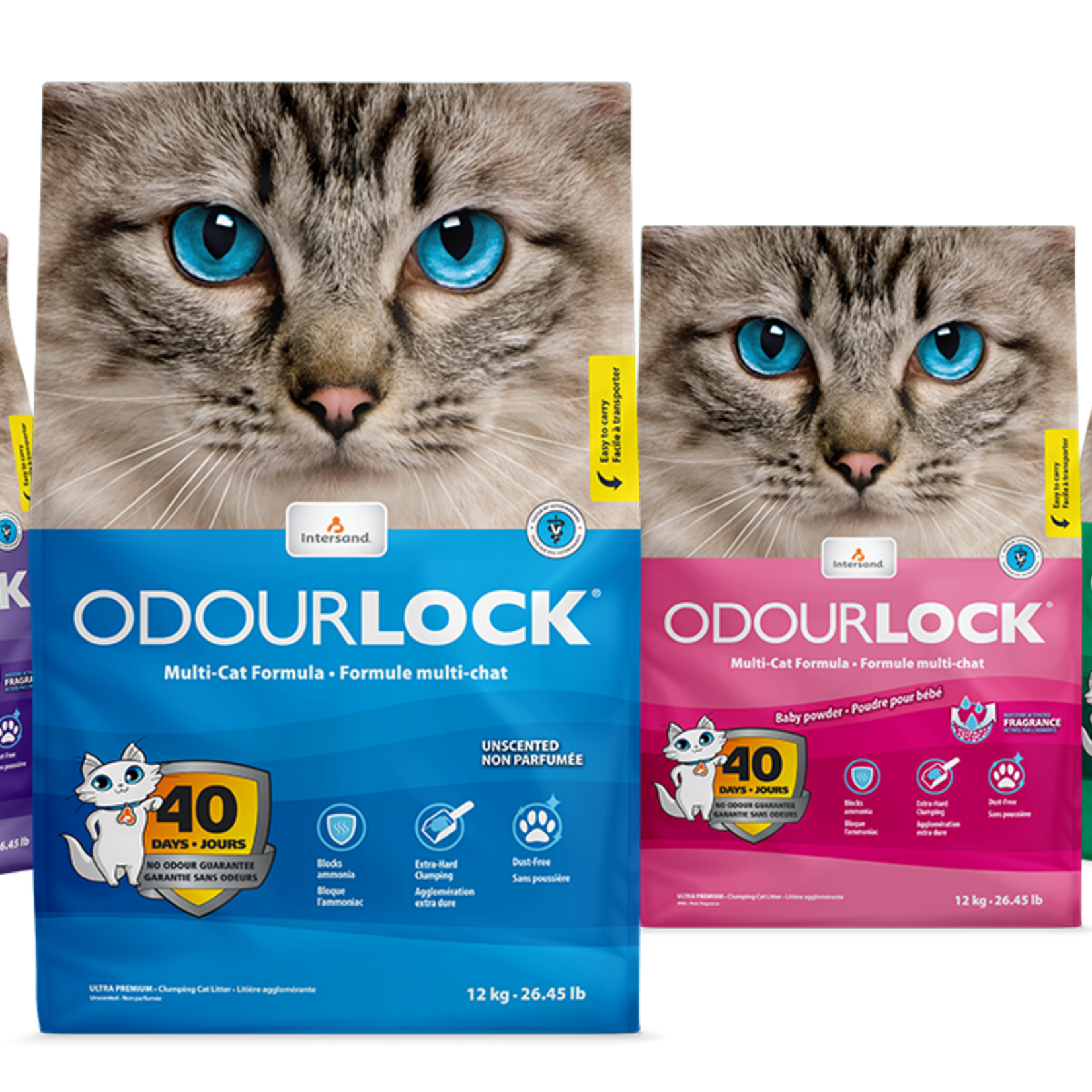 INTERSAND Unscented Clumping Litter 12 kg