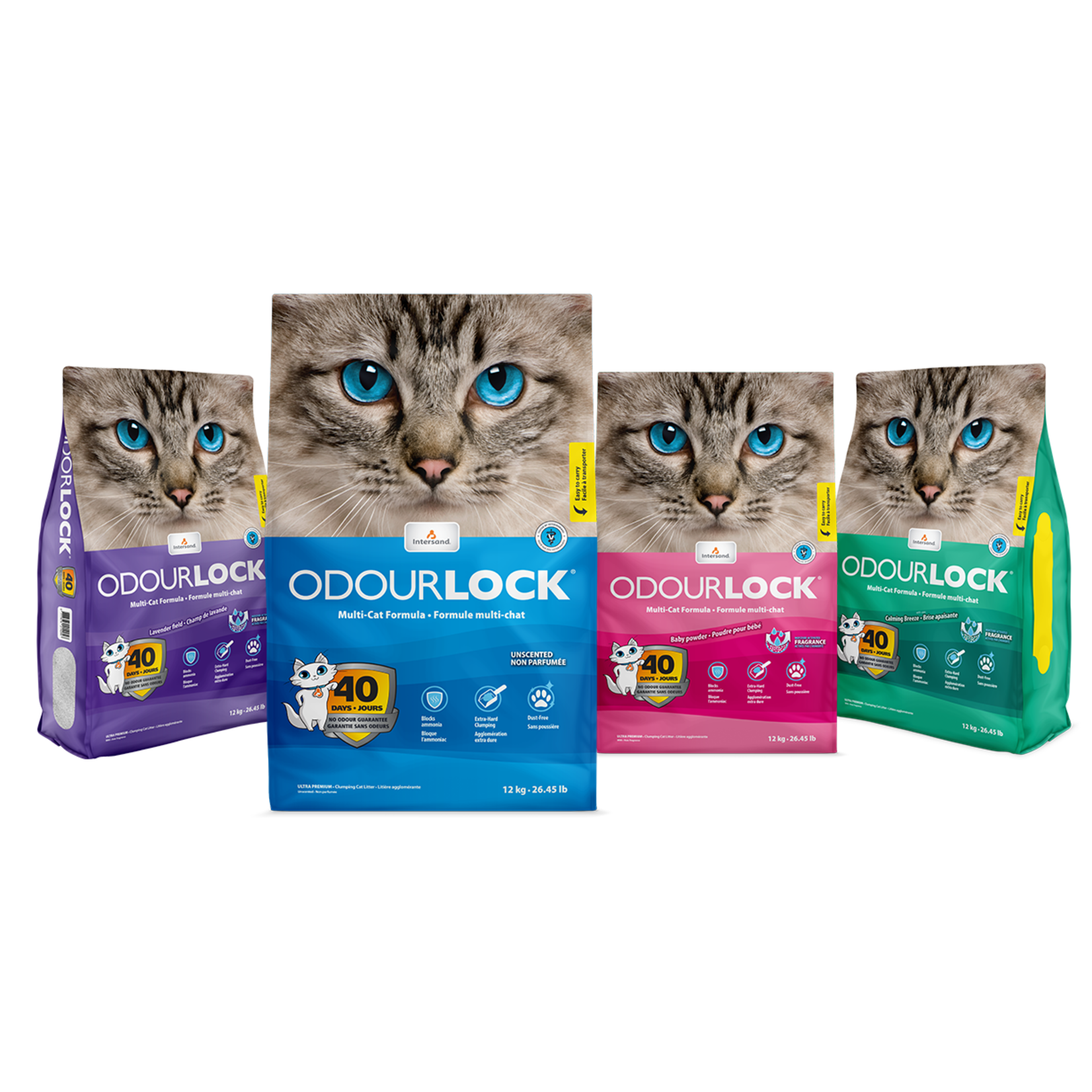 INTERSAND Unscented Clumping Litter 12 kg