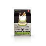 Dry Kitten Food - Chicken
