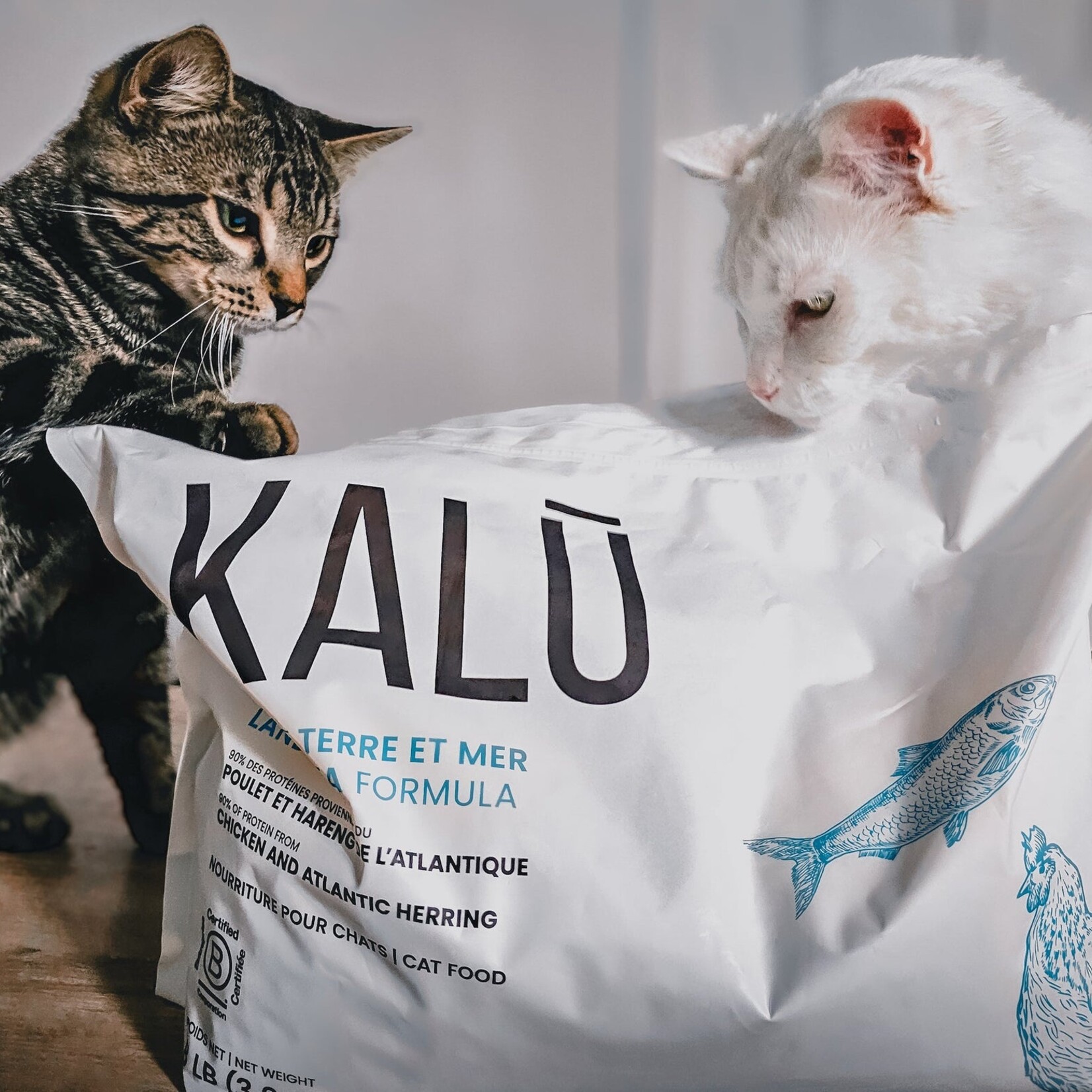 Terre et mer (Poulet et hareng de l’Atlantique) nourriture pour chat
