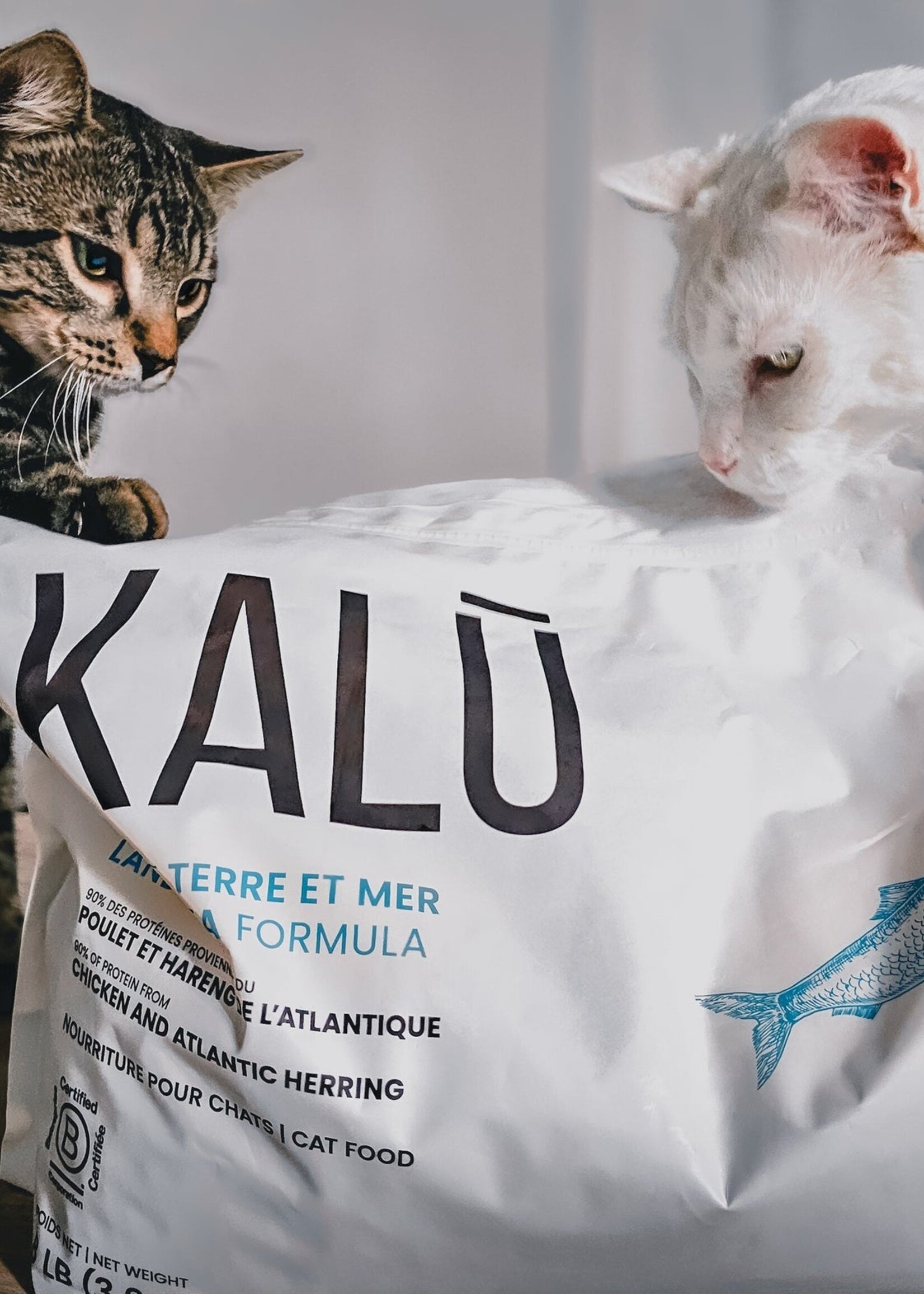 KALU Terre et mer (Poulet et hareng de l’Atlantique) nourriture pour chat