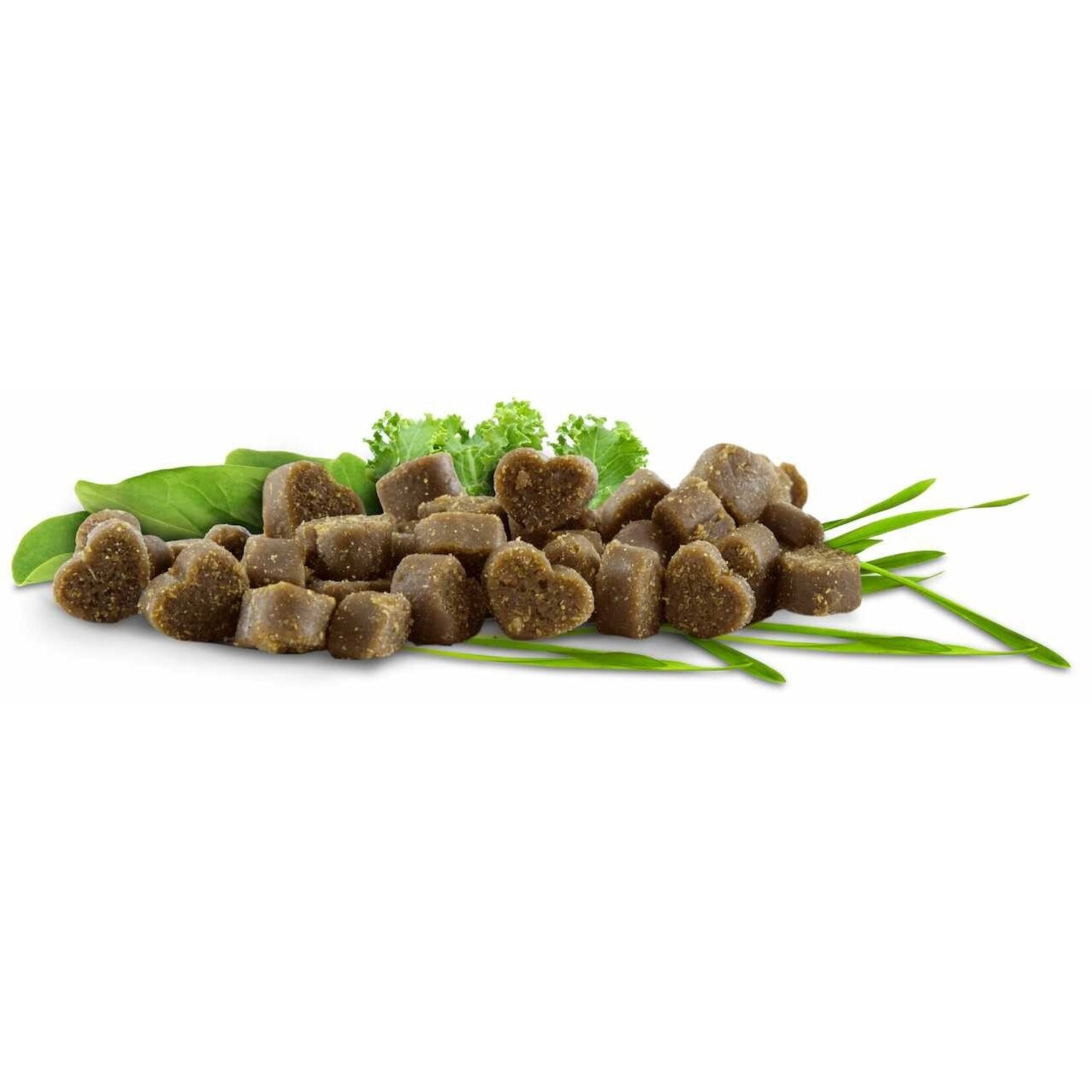 Mini gâteries tendres pour chiens