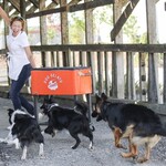GELATO BANANE ET BEURRE D'ARACHIDE