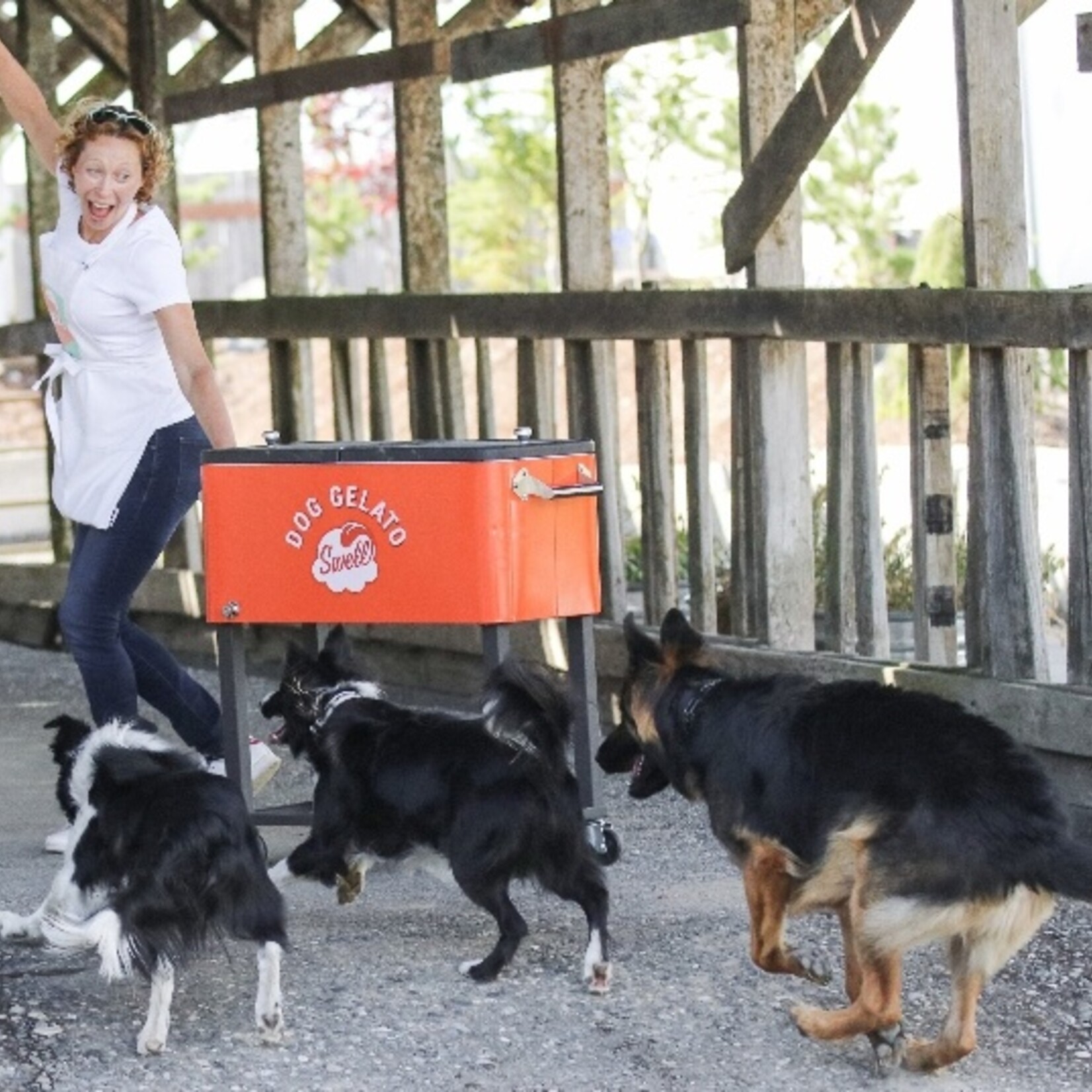 GELATO Banana Peanut Butter