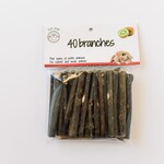Wood sticks (40) kiwi