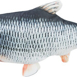 Poisson frétillant avec herbe à chat