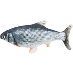Poisson frétillant avec herbe à chat