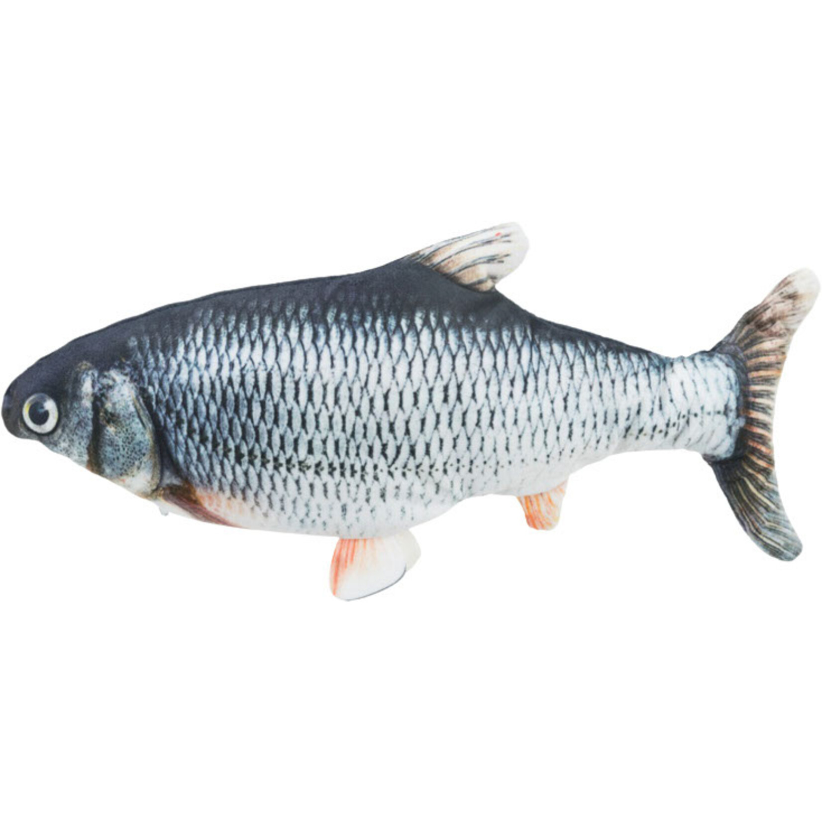 Poisson frétillant avec herbe à chat