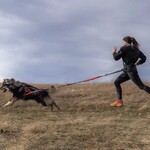 Nahak Hybrid traction belt