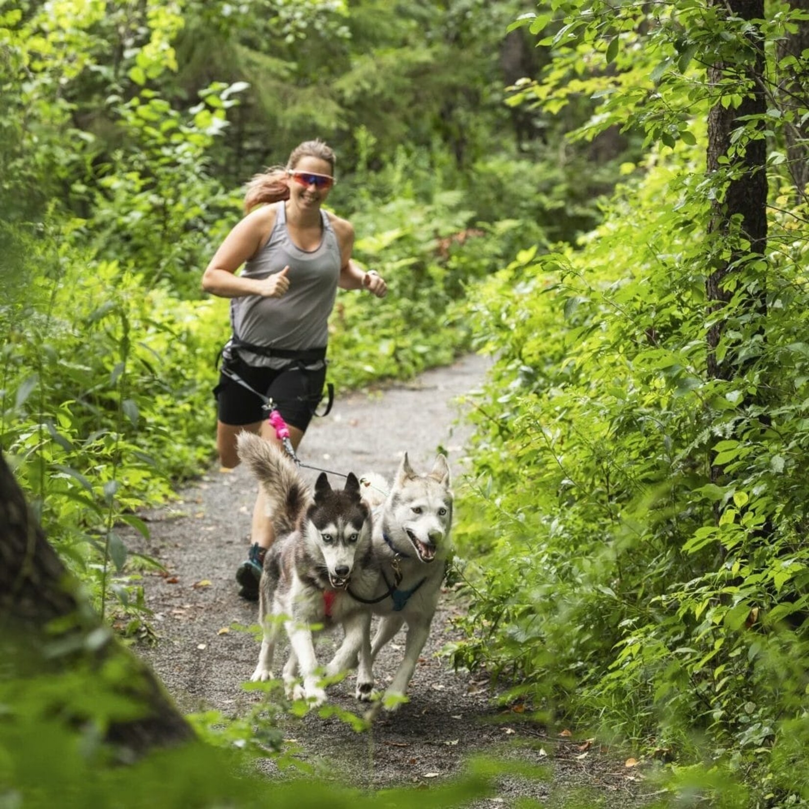 Nahak Ceinture hybride