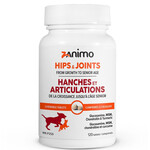 ZANIMO INTERMEDIATE JOINTS - Glucosamine Formula