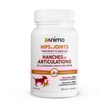 ZANIMO INTERMEDIATE JOINTS - Glucosamine Formula