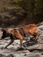 Nahak Harnais hybride pour chien