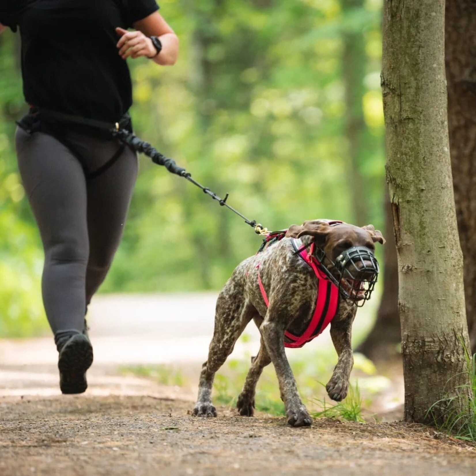 Nahak Hybrid dog harness