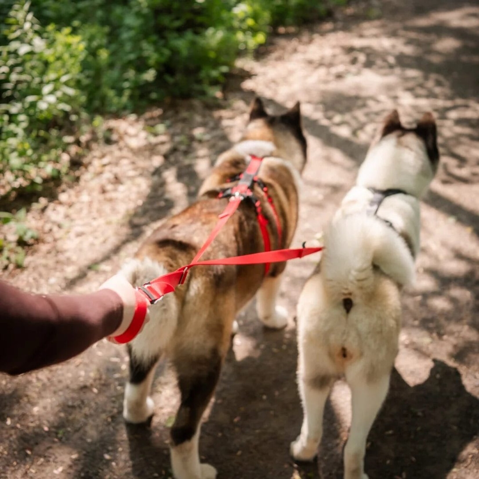 Nahak Hybrid dog harness