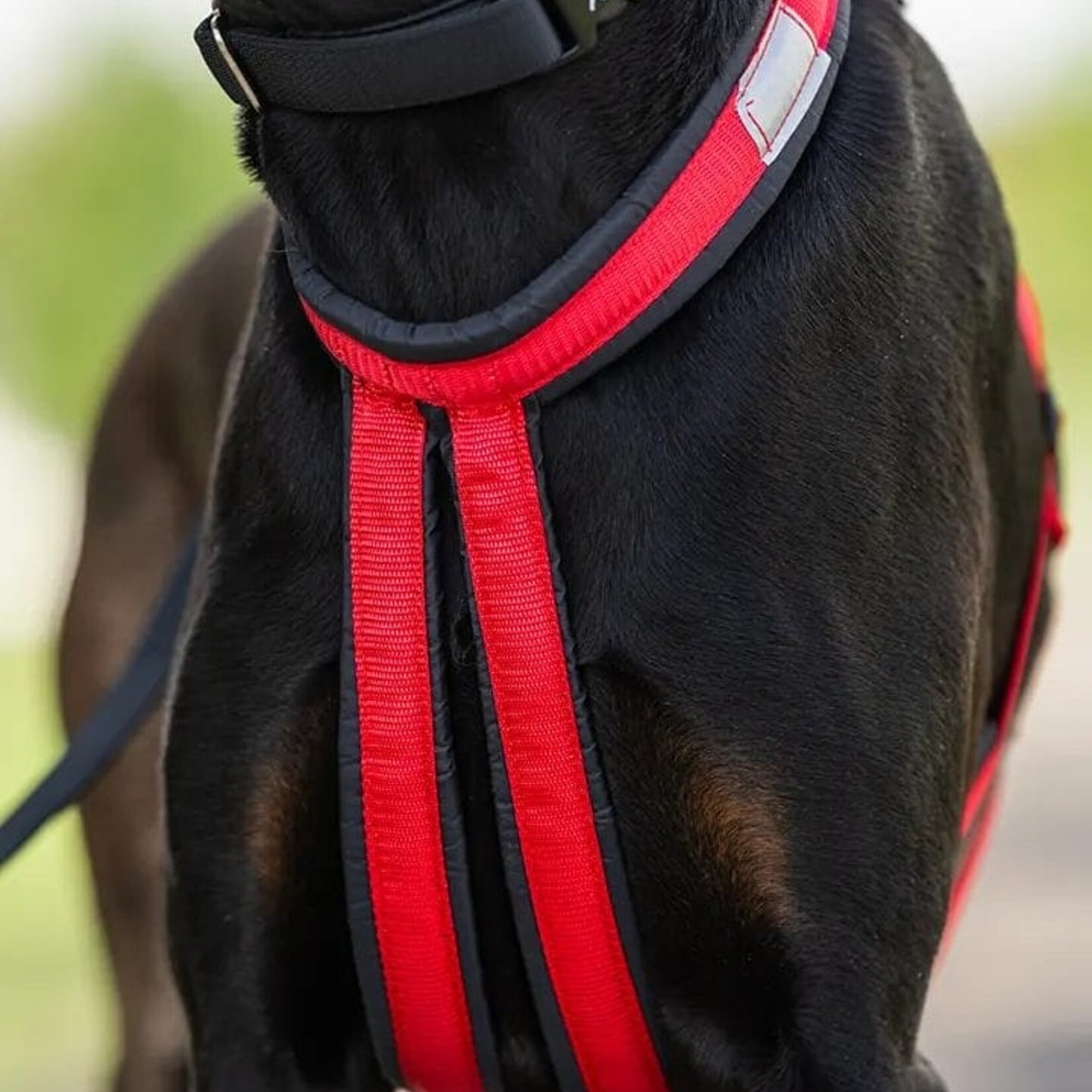 Nahak Harnais hybride pour chien