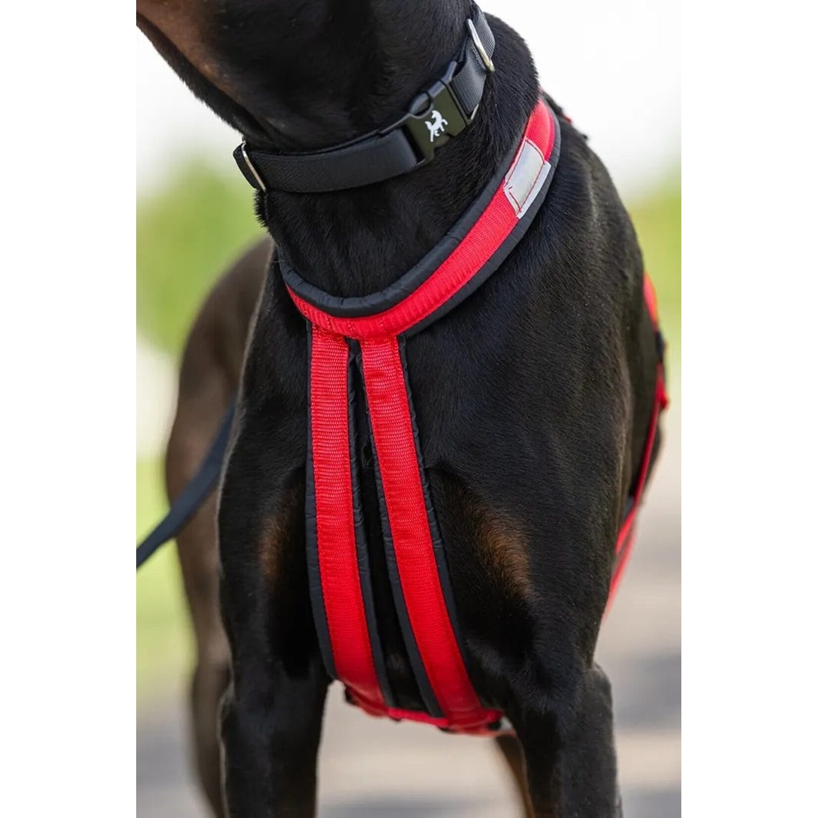 Nahak Harnais hybride pour chien