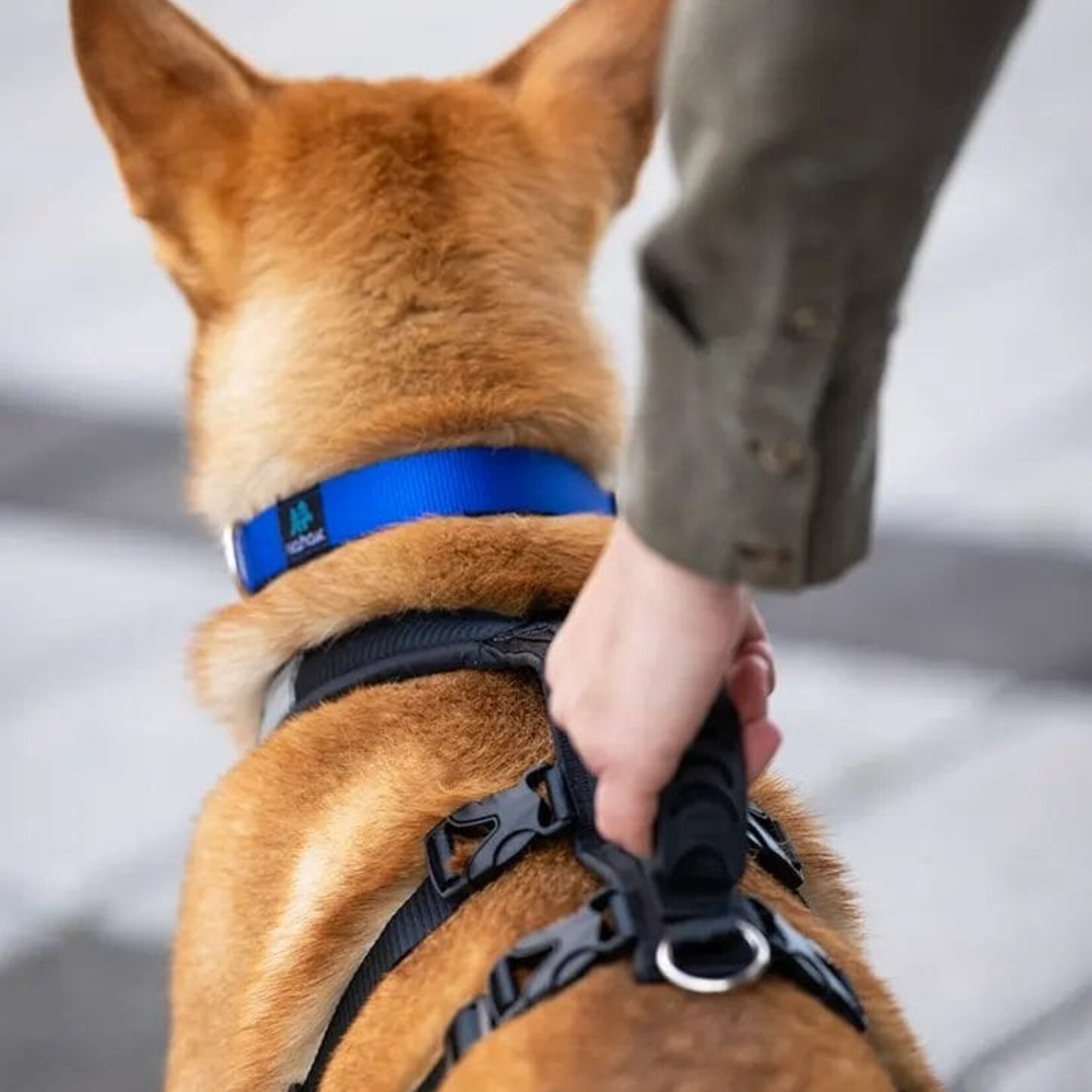Nahak Hybrid dog harness