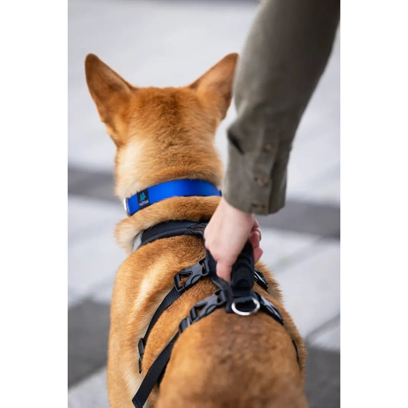 Nahak Harnais hybride pour chien