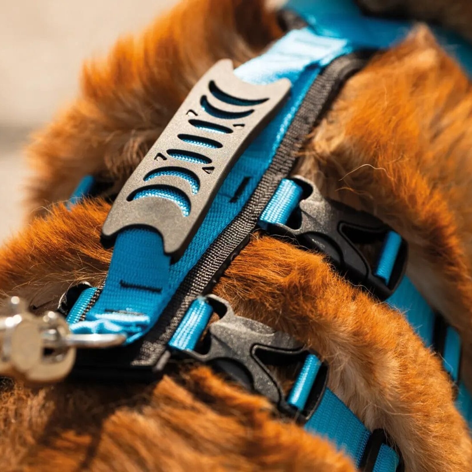 Nahak Harnais hybride pour chien